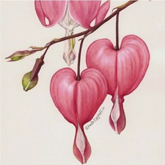 Red Dansko Tiffani Strappy Clog Slingback Sandal Mary Jane Milled 37 38 40 41 42 - Picture 4 of 12